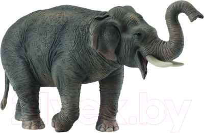 Фигурка коллекционная Collecta Азиатский слон / 88486b 