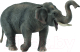 Фигурка коллекционная Collecta Азиатский слон / 88486b  - 