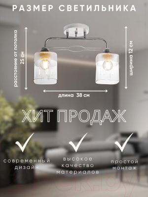 Потолочный светильник Aitin-Pro НПБ 02-2x60-101 / 6006/2 (белый/хром)
