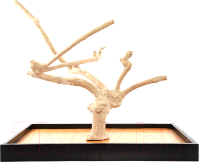 Игровая площадка для птиц Coffee Wood Кофейное дерево / TABLETOP/CW-L