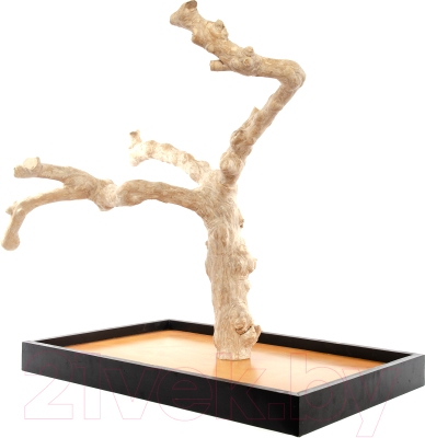 Игровая площадка для птиц Coffee Wood Кофейное дерево / TABLETOP/CW-L