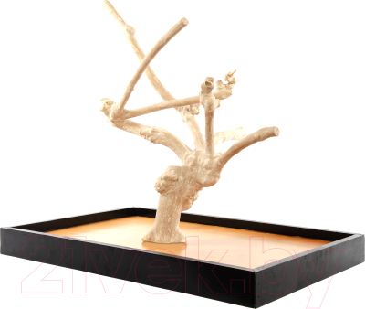 Игровая площадка для птиц Coffee Wood Кофейное дерево / TABLETOP/CW-L