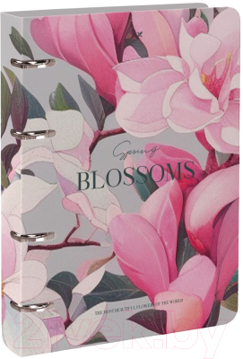 Тетрадь Lorex Blossoms / LXNBCL-BLS (120л)
