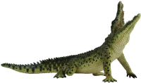 Фигурка коллекционная Collecta Нильский крокодил / 88725b  - 