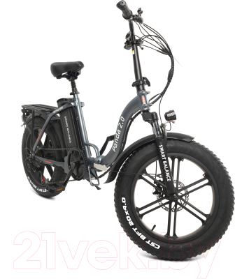 Электровелосипед Smart Balance Panda 20 (серый)