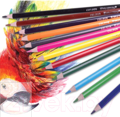 Набор цветных карандашей Brauberg Kids / 181945