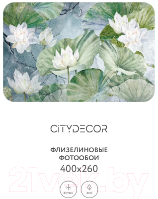 Фотообои листовые Citydecor Blossom 26 (400x260см)