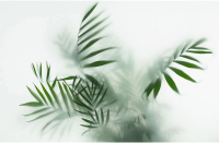 Фотообои листовые Citydecor Цветы и растения 155 (400x260см) - 