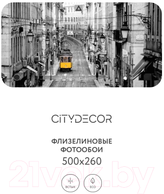 Фотообои листовые Citydecor Города и архитектура 51 (500x260см)