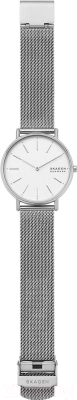 Часы наручные женские Skagen SKW2785