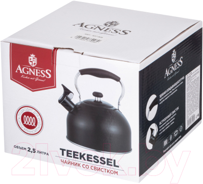 Изображение товара Чайник со свистком Agness 937-908