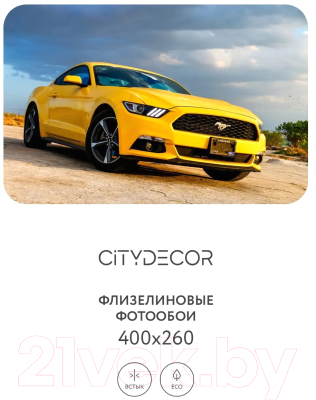 Фотообои листовые Citydecor Транспорт 24 (400x260см)