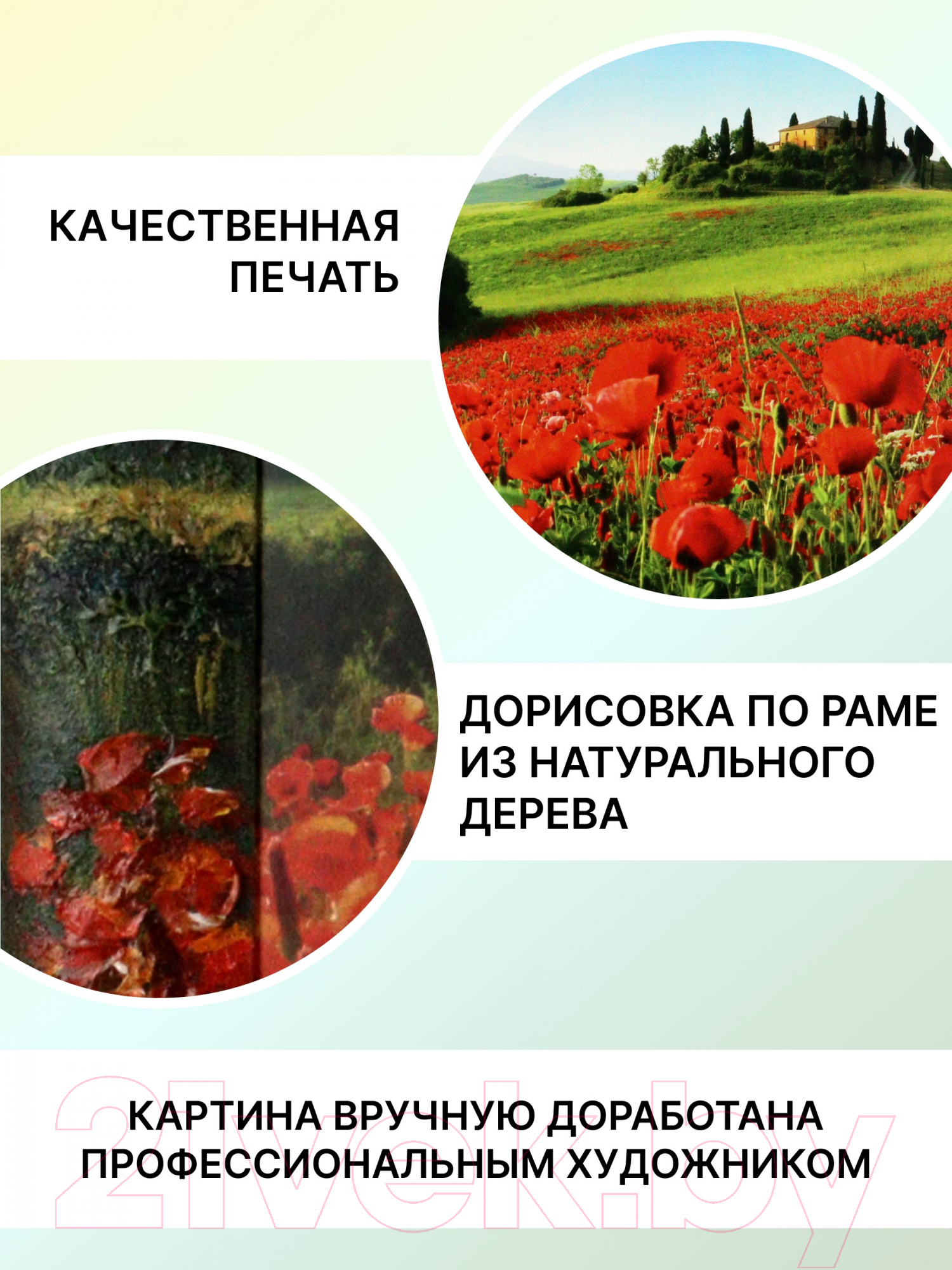 Картина Декарт 8Л3072 — фото 4
