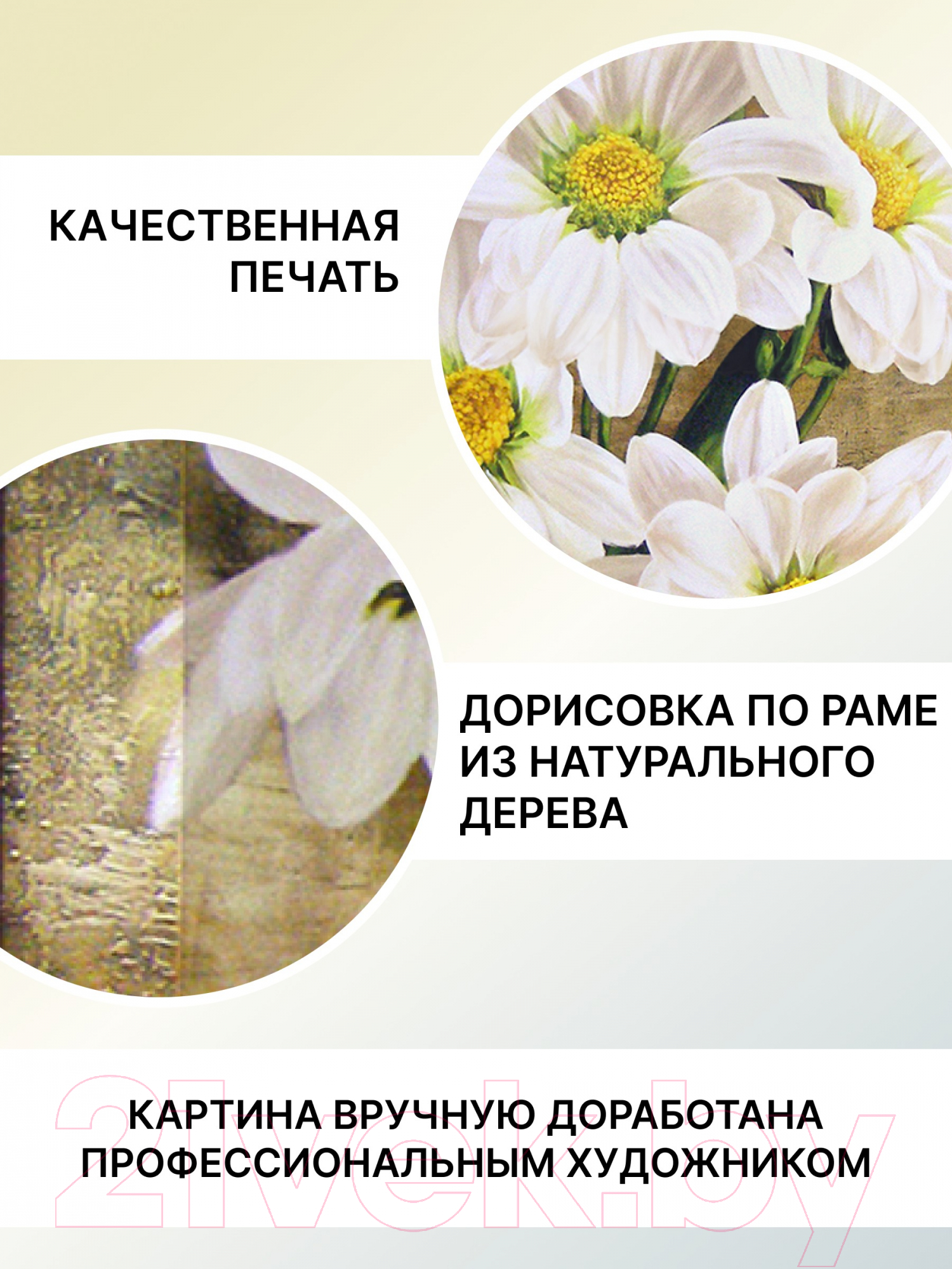 Картина Декарт Белые ромашки 8Л2392 (в раме) — фото 4