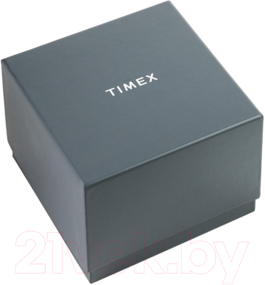 Часы наручные мужские Timex TW2V40300