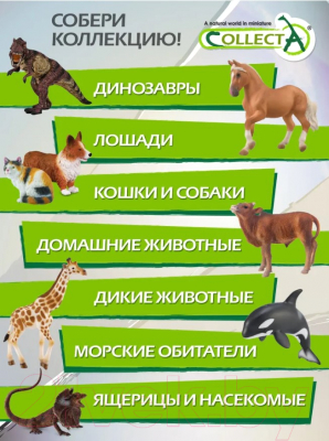 Фигурка коллекционная Collecta Лошадь Чинкотигский пони / 88929b 