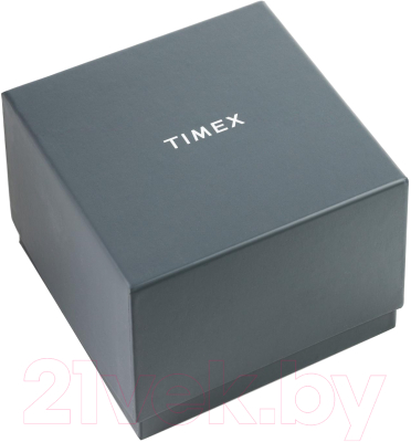 Часы наручные мужские Timex TW2V43800