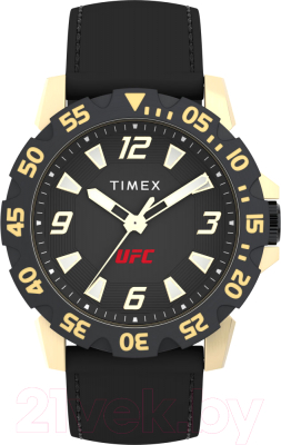 Часы наручные мужские Timex TW2V84400