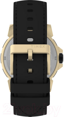 Часы наручные мужские Timex TW2V84400