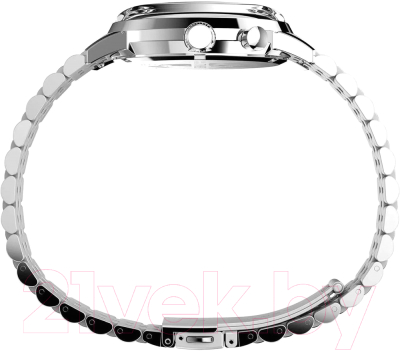 Часы наручные мужские Timex TW2W51300