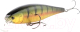 Воблер Lucky Craft Pointer 128 SR Aurora Gold Northern Perch PT128SR-884AGNPC - 