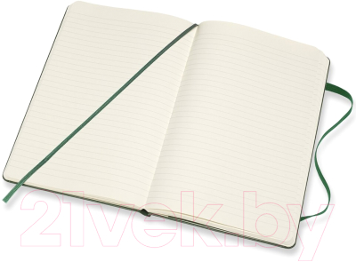 Записная книжка Moleskine Classic Large / 1127970 (120л, зеленый)