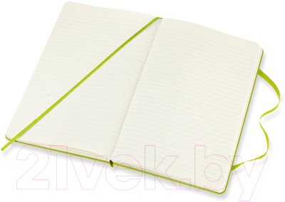 Записная книжка Moleskine Classic Large / 1215737 (120л, лайм)