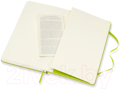 Записная книжка Moleskine Classic Large / 1215737 (120л, лайм)