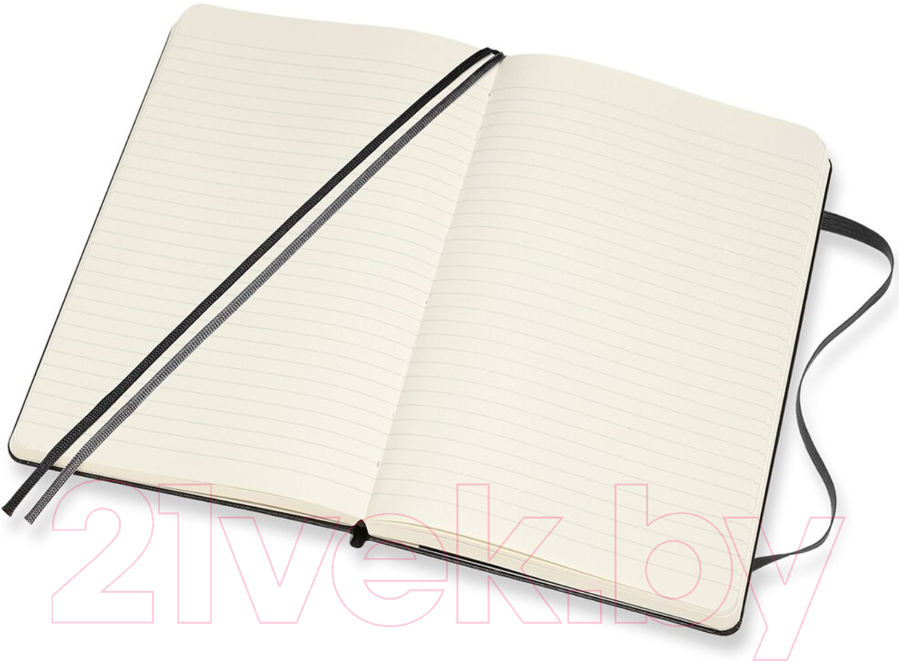 Записная книжка Moleskine Classic Expended Large / 1127515