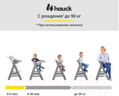 Стульчик для кормления Hauck Alpha Plus Charcoal / 66130-7