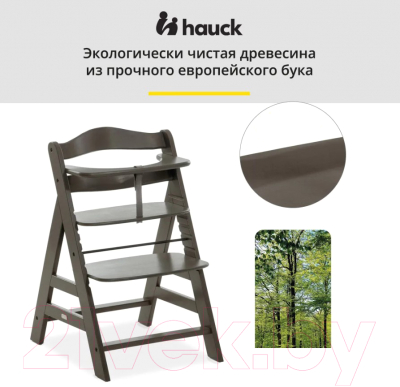 Стульчик для кормления Hauck Alpha Plus Charcoal / 66130-7