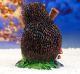 Миниатюра изображения товара Фигурка для сада Хорошие сувениры Еж с лопатой / 1134662