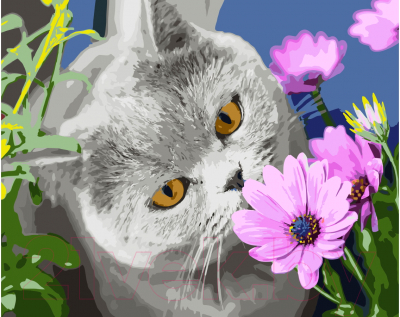 Картина по номерам РЫЖИЙ КОТ Серый кот в цветах / Х-4156 