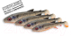Миниатюра изображения товара Мягкая приманка Savage Gear 3d Whitefish Shad / 1618615