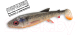 Миниатюра изображения товара Мягкая приманка Savage Gear 3d Whitefish Shad / 1618615
