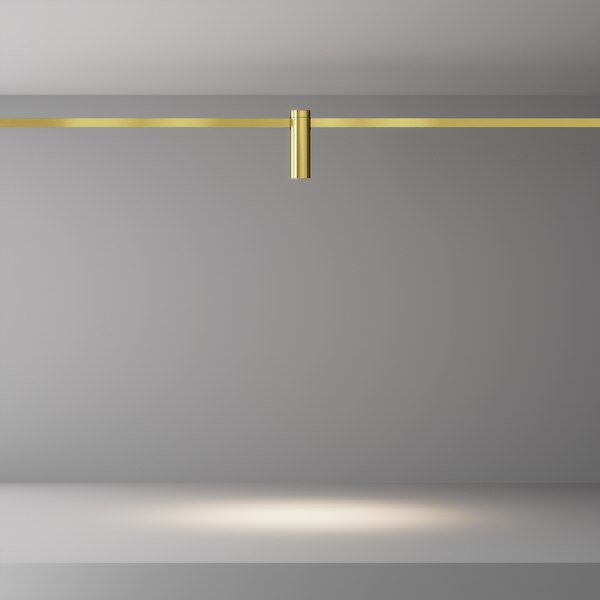 Трековый светильник Maytoni TR143-1-5W3K-W-BS