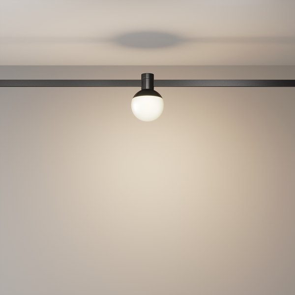 Трековый светильник Maytoni TR149-1-5W3K-B