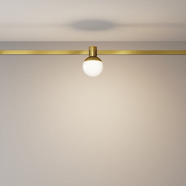 Трековый светильник Maytoni TR149-1-5W3K-BS