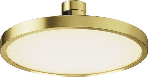 Трековый светильник Maytoni TR153-1-10W3K-BS