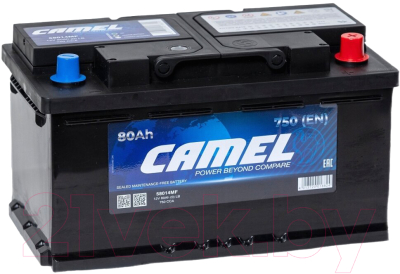 Автомобильный аккумулятор Camel 58014MF (80 А/ч)