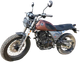 Мотоцикл Racer RC 250СК-A Triumph (коричневый) - 