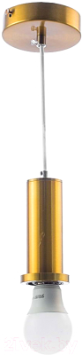Потолочный светильник Aitin-Pro НСБ 01-60-101 / X1573 (золото)