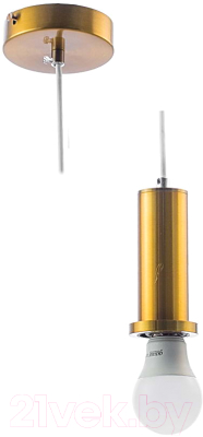 Потолочный светильник Aitin-Pro НСБ 01-60-101 / X1573 (золото)