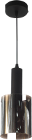 Потолочный светильник Aitin-Pro НСБ 01-60-101 / GLD2021/1 (черный) - 