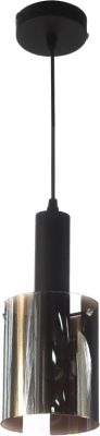 Потолочный светильник Aitin-Pro НСБ 01-60-101 / GLD2021/1 (черный)