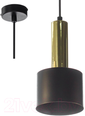 Потолочный светильник Aitin-Pro НСБ 01-40-101 / A8133S (черный/золото)