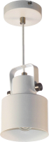 Потолочный светильник Aitin-Pro НСБ 01-40-101 / A8062/1 (белый) - 