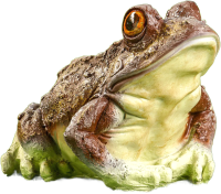 

Фигурка для сада, Лягушка глазастая древесная / 9487946