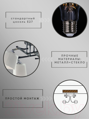 Спот Aitin-Pro НПБ 02-4x60-101 / N5488/4 (черный/хром)