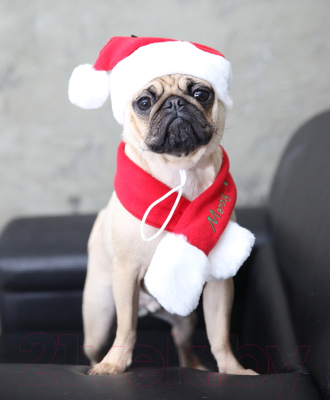 Шапка для животных Puppia Santa / PDDF-SH23-RD-S (красный)